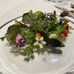 レフェルヴェソンス - 