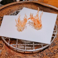 天ぷら 銀座おのでら 並木通り店 - 