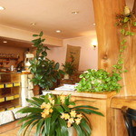 樹の部屋 - 