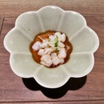 セルサルサーレ - 温かい玉ねぎのプリン アオリイカと