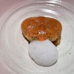 セルサルサーレ - セイコガニのリゾット 生姜の泡