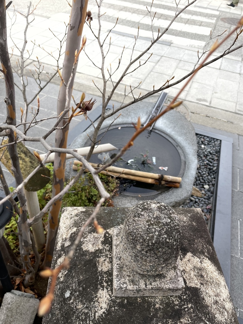 草庵・中町井ｓay