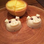 モンプチコションローズ - かわいいこぶたちゃんたちにも驚かされました