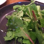 モンプチコションローズ - グリーンサラダ