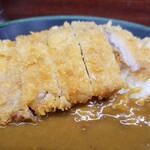 新田毎 - とんかつカレー　700円