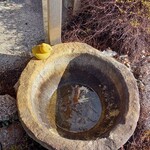 ベーカリーツキヨシ - 