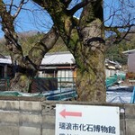 ベーカリーツキヨシ - 