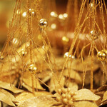 ザ ロビーラウンジ - 