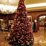 ザ ロビーラウンジ - ツリーデザイン：　 古川　敦子さん（シャマイムローズギャラリー）