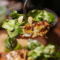 biodinamico - 