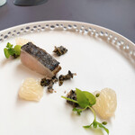 プレゼンテ スギ - ⑧GV(ガストロバック)さわら