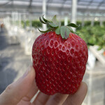 姫路ハートフル観光農園 - 