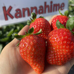 姫路ハートフル観光農園 - 