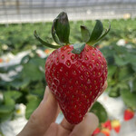 姫路ハートフル観光農園 - 