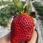 姫路ハートフル観光農園 - 