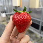 姫路ハートフル観光農園 - 