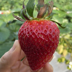 姫路ハートフル観光農園 - 