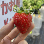 姫路ハートフル観光農園 - 