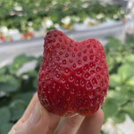 姫路ハートフル観光農園 - 