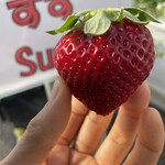 姫路ハートフル観光農園 - 