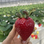 姫路ハートフル観光農園 - 