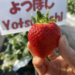 姫路ハートフル観光農園 - 