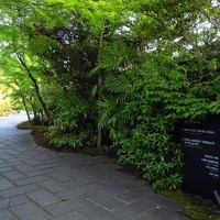THE SODOH HIGASHIYAMA KYOTO - 