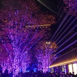 オーロール 東城屋 - 