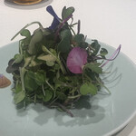 ナベノ-イズム - 