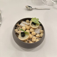 RISPETTO - 