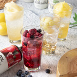 fruit vinegar soda