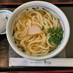 Sanuki Teuchi Udon Aonoyama - 