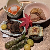 うなぎ 目白ぞろ芽 - 