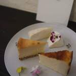 Y-s 洋菓子とチーズとお酒と。 - 