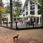 ドッグデプトガーデン - 