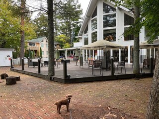 ドッグデプトガーデン - 