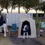 happy - 笠岡 ジェラート工房Happy 敷地内にて (2022.12.25)