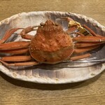 春のお店 - セイ甲カニ　※越前がに