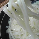 手打うどん くうかい - 透明感あってツヤツヤのこの麺！熱くてもウマイ！