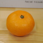 ラーメン 三亀 - 伊豆のミカン