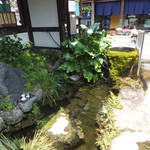 Hayame gawa - お店の横には湧き水が流れていまして・・・