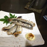 きらんしょ - ししゃも