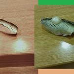 鮨義心 - 小はだ（しろえびの次に提供されています）、追加で鮎を握りにしてもらいました。