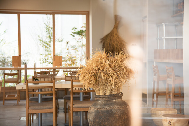 Marimo Shokudo photo 4