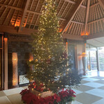 箱根吟遊 武蔵野本館 - 