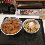 Yoshinoya - 牛丼大盛り、ポテトサラダ