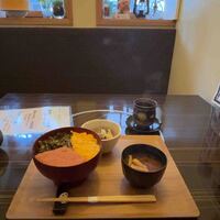 ひしむら - 明太どんぶり1000円