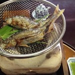 日本料理 はなの - 鮎の塩焼き