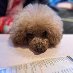 THE NUTS EXCHANGE - リラックスモードのシェリ