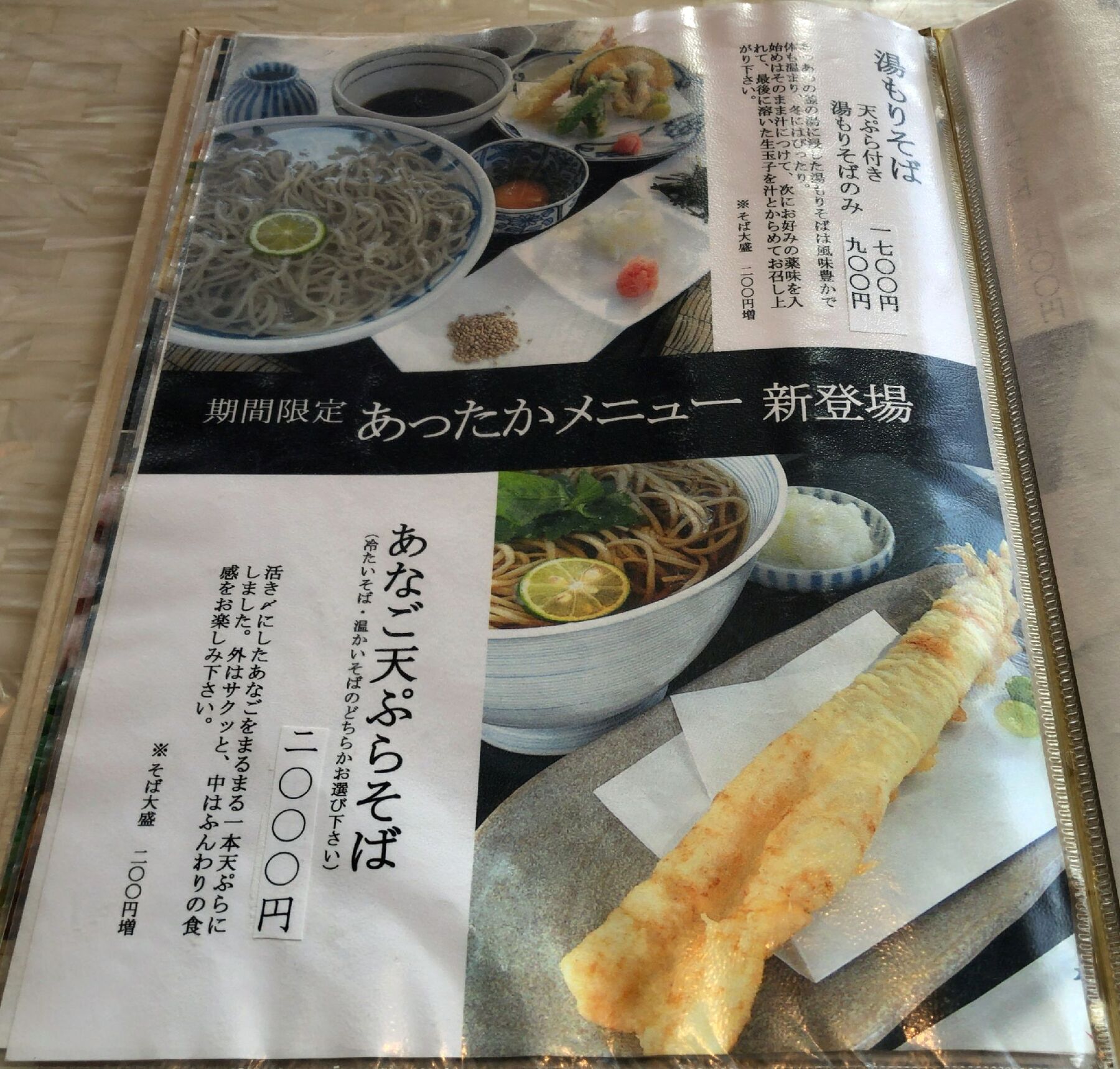 【竜そばページ】おまとめ 霧しな 田舎風やぶそばセット［生そば］（10食）御嶽山の天然水使用